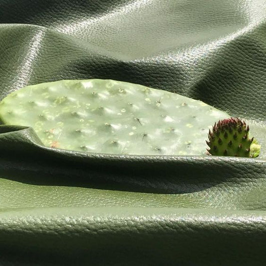 La bolsas y zapatos de piel de nopal: una opción sostenible y amigable con el medio ambiente.